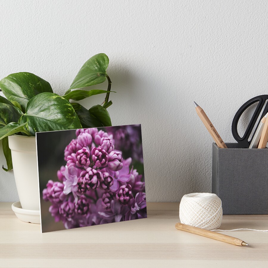 Item preview, Art Board Print designed and sold by Aisat13.