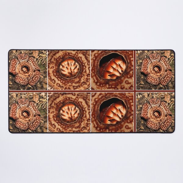 Item preview, Male Rafflesia pricei Flower - Composite View designed and sold by Carole-Anne.