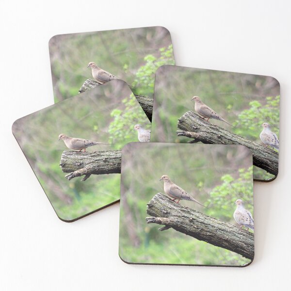 Item preview, 2 MOURNING DOVES designed and sold by BOLLA67.