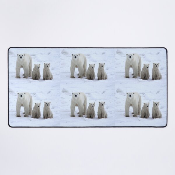 Item preview, Family Portrait #1 - Polar Bears, Churchill, Canada designed and sold by Carole-Anne.