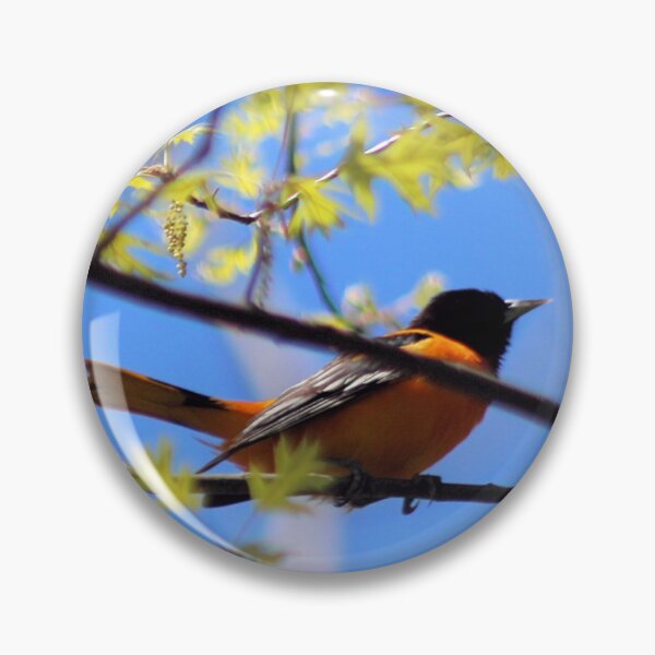 Artikelvorschau, BALTIMORE ORIOLE 2 entworfen und verkauft von BOLLA67.