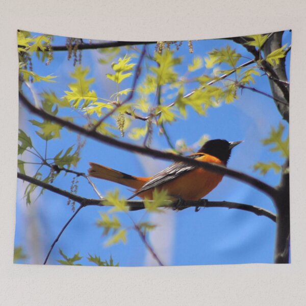 Artikelvorschau, BALTIMORE ORIOLE 2 entworfen und verkauft von BOLLA67.