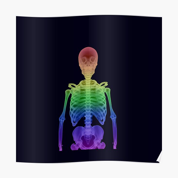 Rainbow Skeleton Gay Pride Poster For Sale By Evolved Lovinit Redbubble 7189