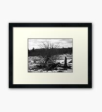 desolate Framed Print
