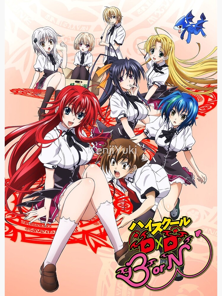 High School DXD Anime Premium POSTER MADE IN USA - HSD003