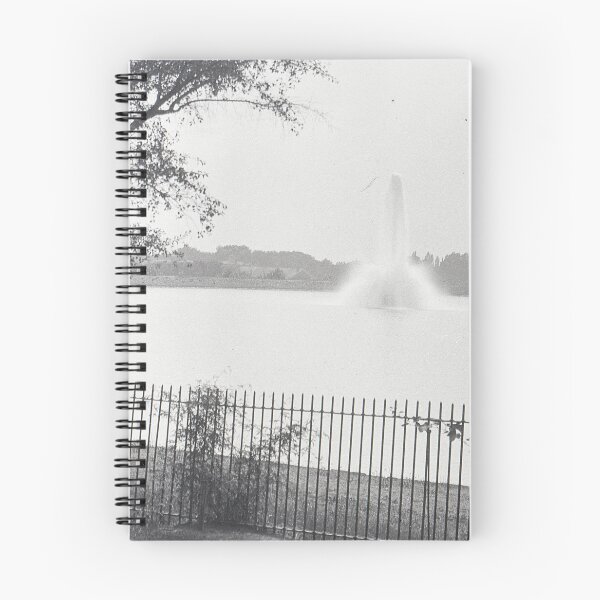 Item preview, Vintage Fountain, New York designed and sold by BGPickers.