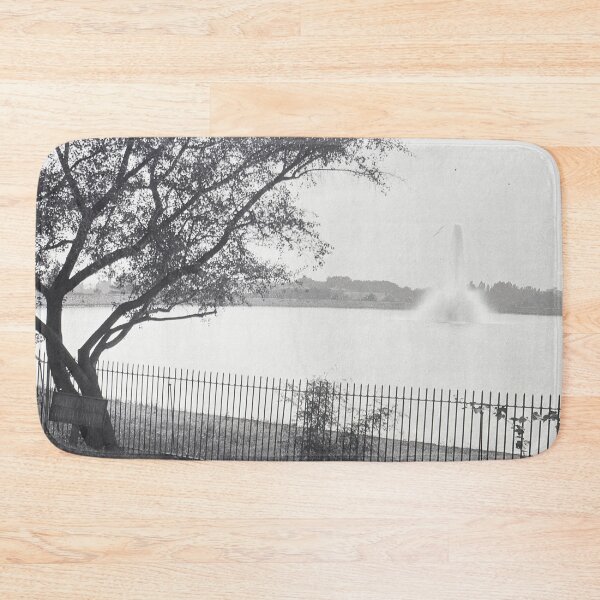 Item preview, Vintage Fountain, New York designed and sold by BGPickers.