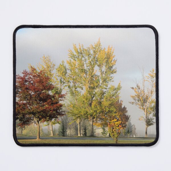 Item preview, Trees and Sunshine and Grey Fog designed and sold by coffeebean.