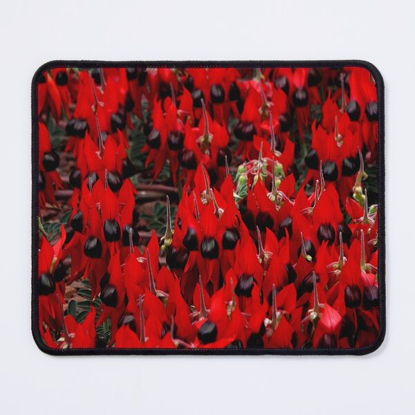 Item preview, Sturt's Desert Pea, Outback South Australia designed and sold by Carole-Anne.