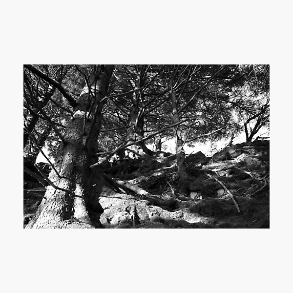 Artikelvorschau, trees entworfen und verkauft von travisdeichl.