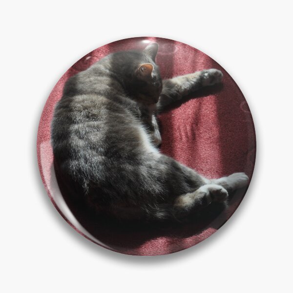 Item preview, Cat In Morning Sunlight, Granville Hotel, France 2012 designed and sold by muz2142.