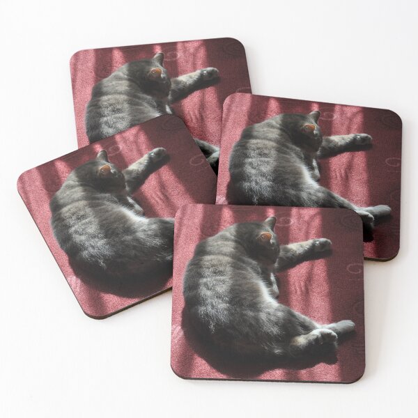 Item preview, Cat In Morning Sunlight, Granville Hotel, France 2012 designed and sold by muz2142.
