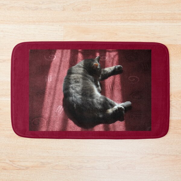 Item preview, Cat In Morning Sunlight, Granville Hotel, France 2012 designed and sold by muz2142.