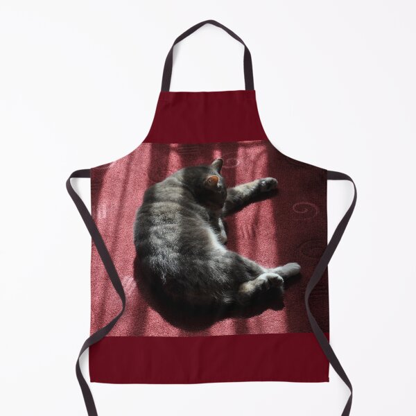 Item preview, Cat In Morning Sunlight, Granville Hotel, France 2012 designed and sold by muz2142.