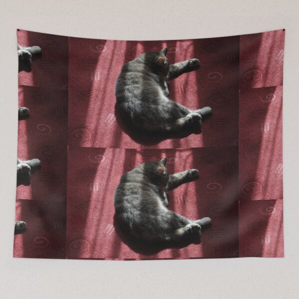 Item preview, Cat In Morning Sunlight, Granville Hotel, France 2012 designed and sold by muz2142.