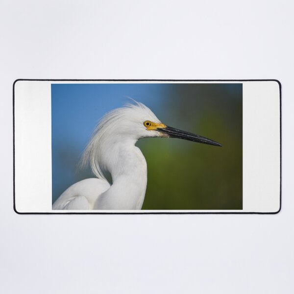 Item preview, Handsome Snowy Egret Profile designed and sold by richardbryce.