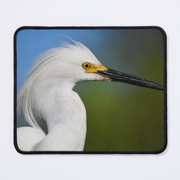 Item preview, Handsome Snowy Egret Profile designed and sold by richardbryce.