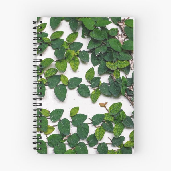 Item preview, Vine designed and sold by Chee Sim.