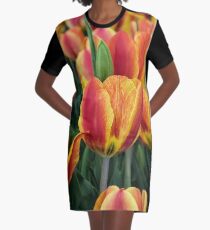 Orange Tulips on Cape Ann Graphic T-Shirt Dress