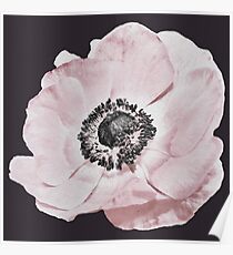 Flower, Flower print, Plant print, Scandinavian print, Trendy print, Styled, Pillow, Modern art, Wall art, Print, Minimalistic, Modern Poster