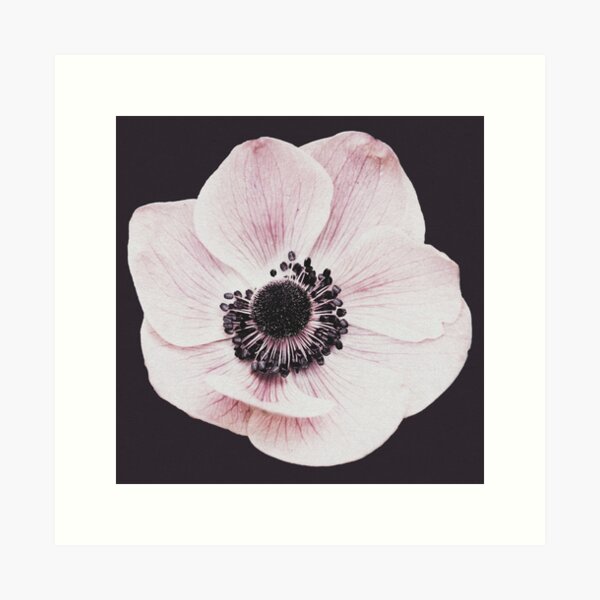 Aperçu de l'œuvre Fleur, Imprimé fleur, Imprimé végétal, Imprimé scandinave, Impression à la mode, Stylisé, Oreiller, Art moderne, Art mural, Impression, Minimaliste, Moderne créée et vendue par juliaemelian.