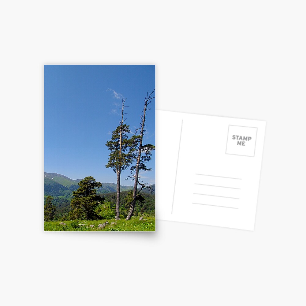 Item preview, Postcard designed and sold by Aisat13.