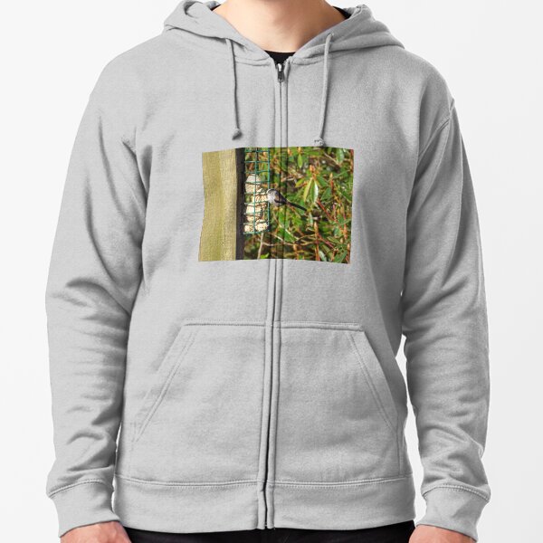 long tail sweatshirts