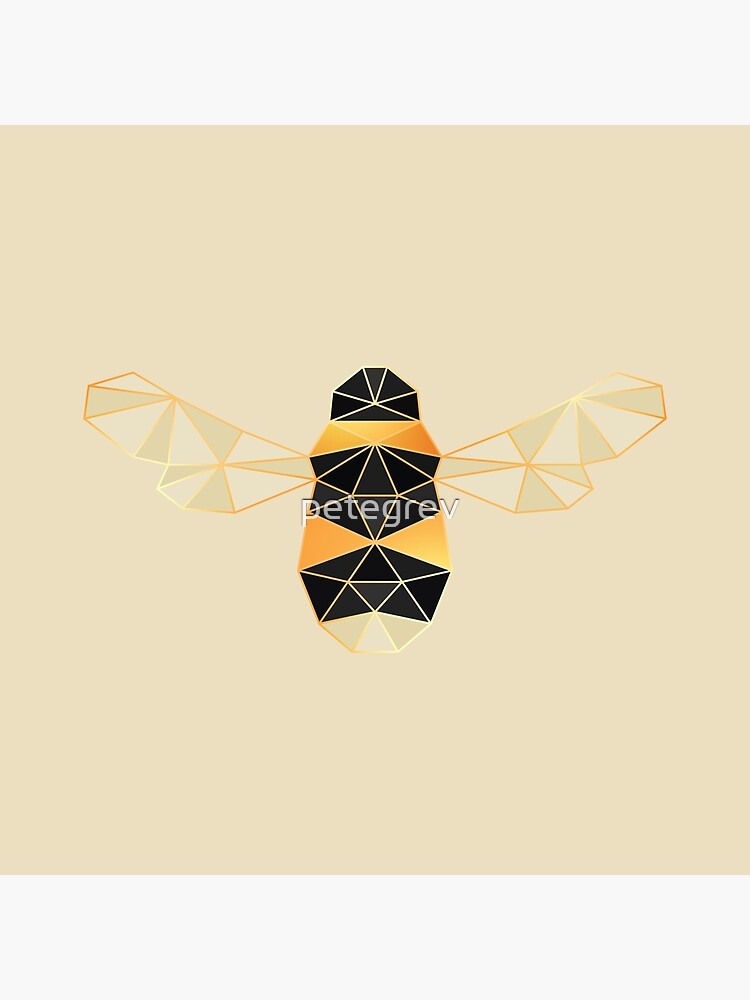 Geo Beeo by petegrev