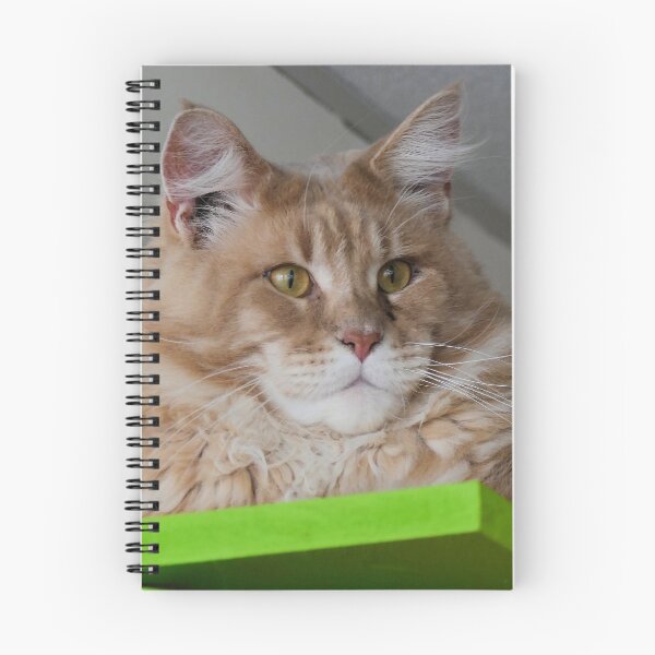 Item preview, Ginger Tom designed and sold by chihuahuashower.