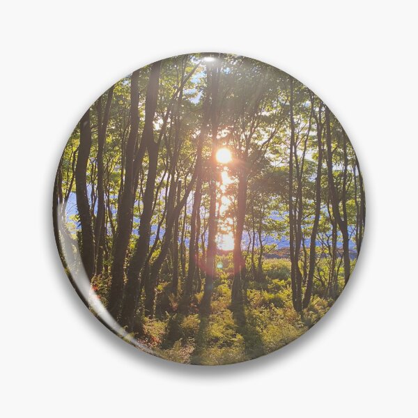 Item preview, Crawfordsburn Country Park, Bangor, County Down, Northern Ireland designed and sold by emmajw09.