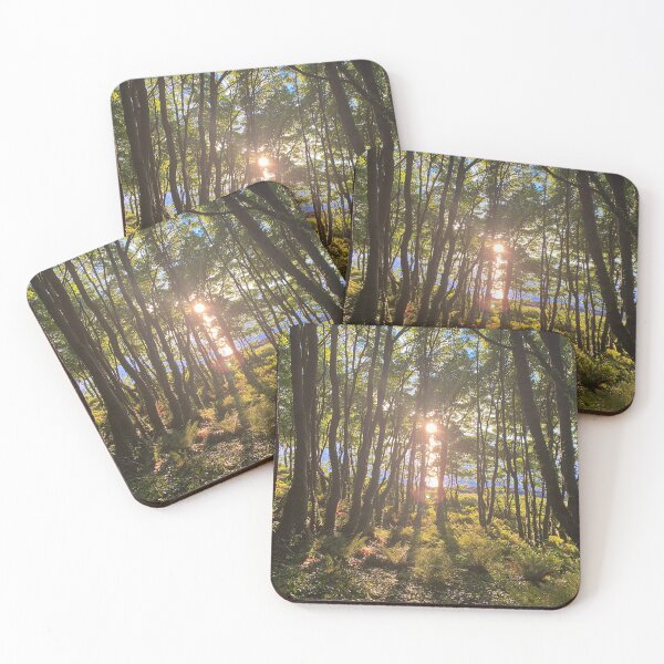 Item preview, Crawfordsburn Country Park, Bangor, County Down, Northern Ireland designed and sold by emmajw09.