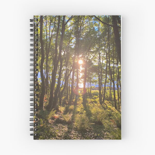 Item preview, Crawfordsburn Country Park, Bangor, County Down, Northern Ireland designed and sold by emmajw09.