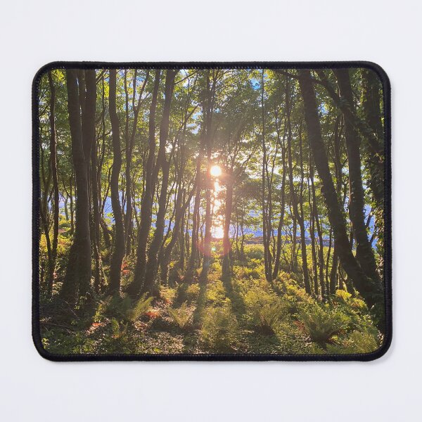 Item preview, Crawfordsburn Country Park, Bangor, County Down, Northern Ireland designed and sold by emmajw09.