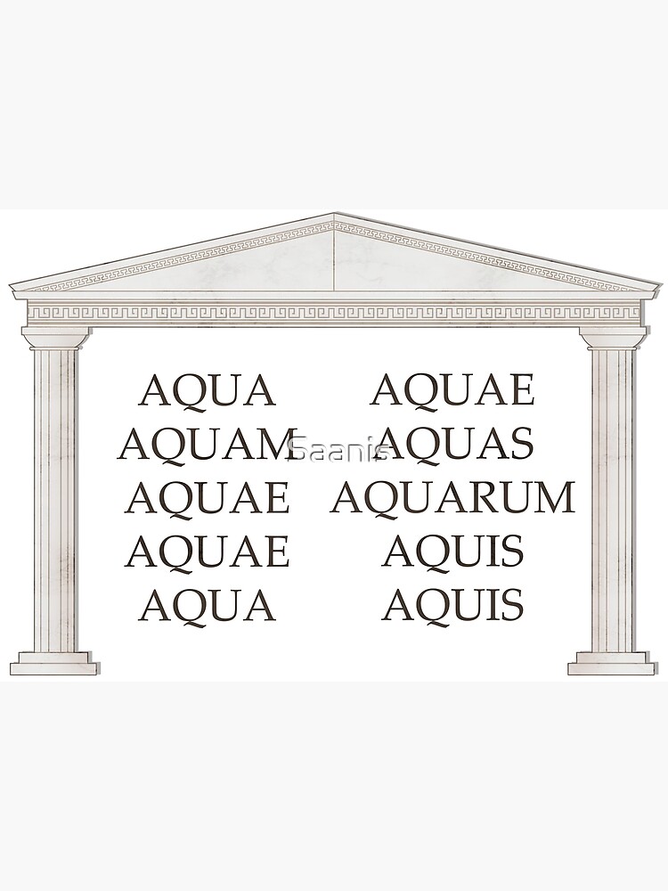 Aqua Latin Declension Chart Finnish conventions