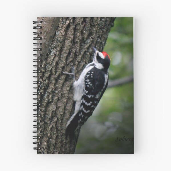 Item preview, Downy Woodpecker designed and sold by Rosemary Sobiera.