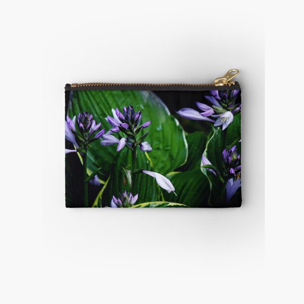 Aperçu de l'œuvre Shady Hosta créée et vendue par Rosemary Sobiera.