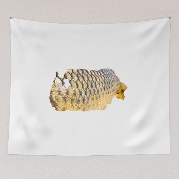Item preview, Art Carp fish designed and sold by mary02.