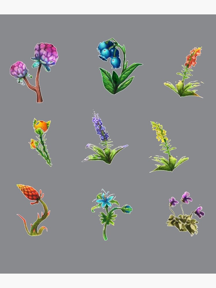 "BOTW flowers" Poster for Sale by TylerPoole Redbubble