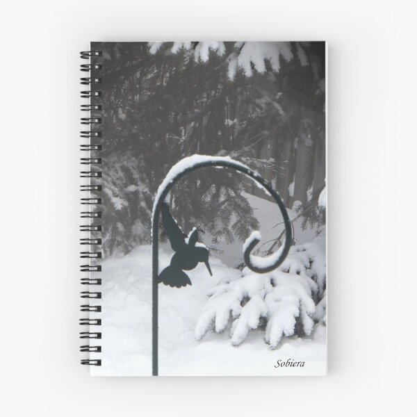Item preview, Winter Hummingbird designed and sold by Rosemary Sobiera.