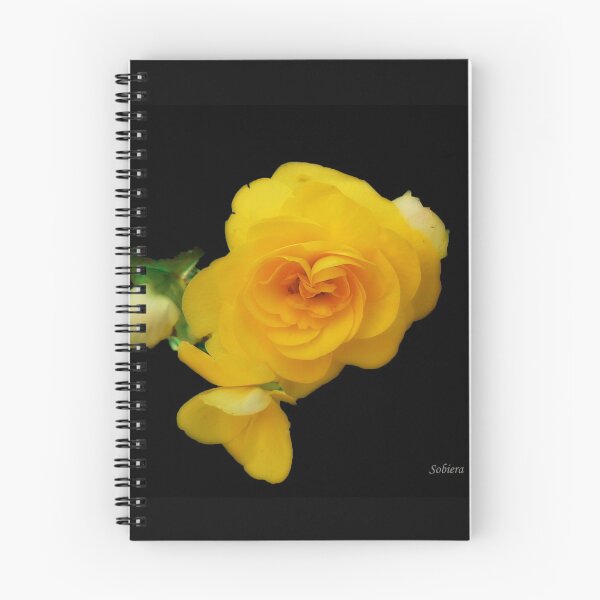 Item preview, Beautiful Begonia designed and sold by Rosemary Sobiera.