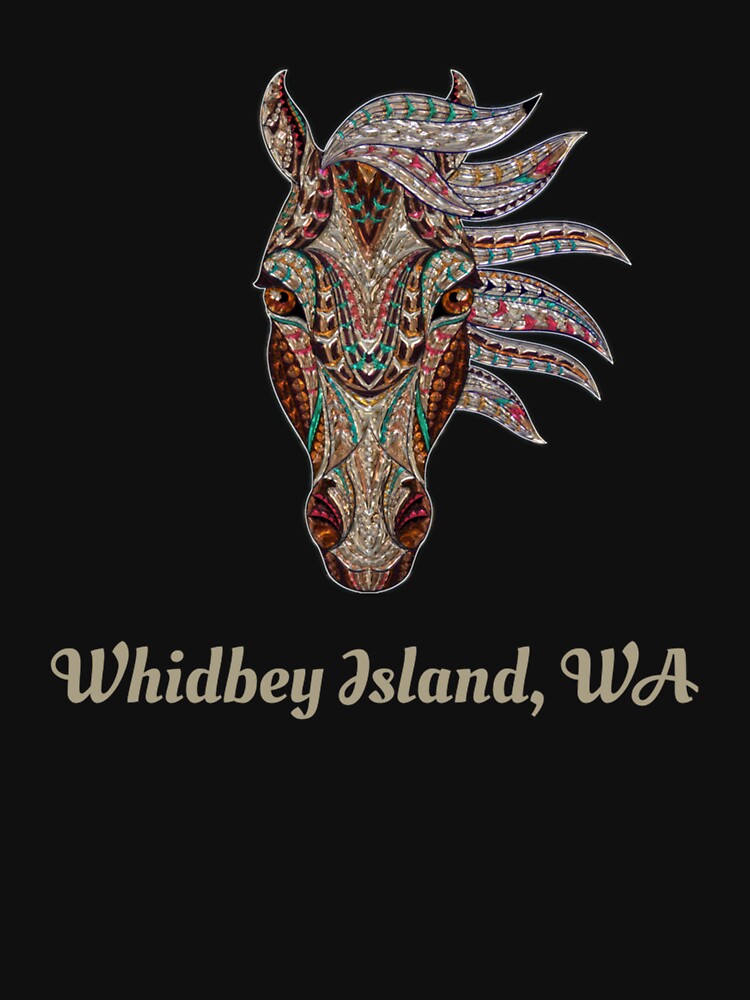 WHIDBEY ISLAND WASHINGTON GEOMETRIC TRIBAL COUNTRY ART