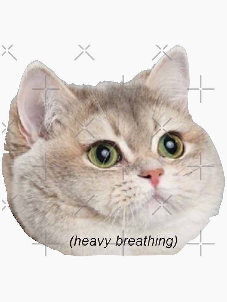 Heavy Breathing Cat by Emmycap