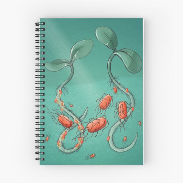 Item preview, Plant-Bacterium symbiosis designed and sold by Lizah van der Aart.