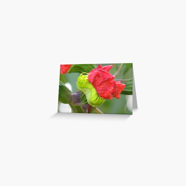 The Changling Greeting Card