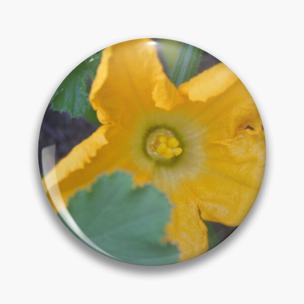Item preview, Orange-Yellow Courgette Flower Shrub Photograph designed and sold by taiche.