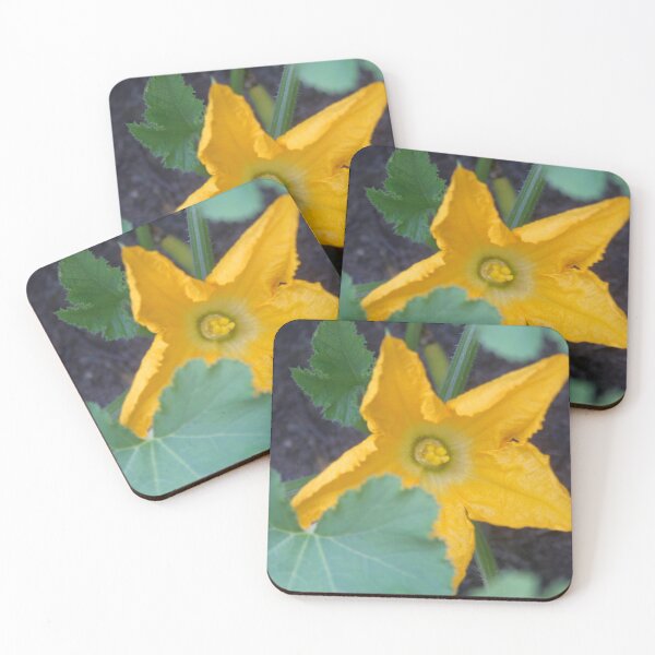 Item preview, Orange-Yellow Courgette Flower Shrub Photograph designed and sold by taiche.