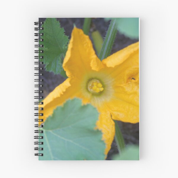 Item preview, Orange-Yellow Courgette Flower Shrub Photograph designed and sold by taiche.