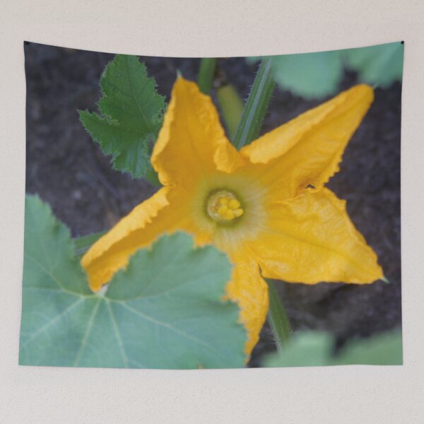 Item preview, Orange-Yellow Courgette Flower Shrub Photograph designed and sold by taiche.