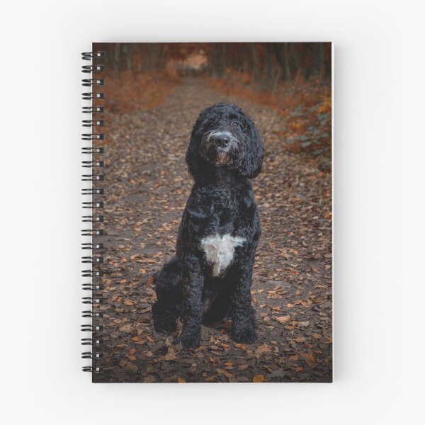 Item preview, Cockerpoo Spaniel/Poodle  designed and sold by Mark and Emma Bulmer.