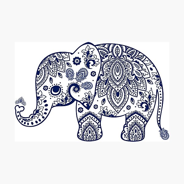 Blue Floral Elephant Illustration Photographic Print